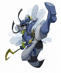 sly cooper from sly cooper (series)