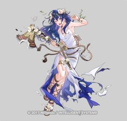 lucina (fire emblem) from fire emblem