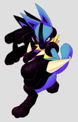 lucario from pokemon