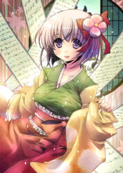 hieda no akyuu from touhou by asai ichiko