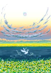 odette (swan lake) from swan lake