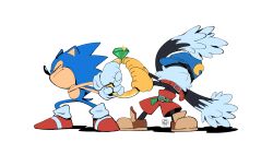 klonoa from kaze no klonoa
