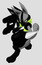 lucario from pokemon