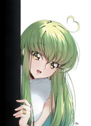 c.c. from code geass by budgiepon