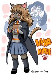 hermione granger from harry potter (series) by shake-o