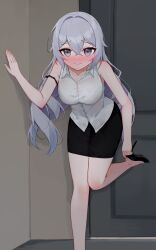 bronya zaychik from honkai (series)