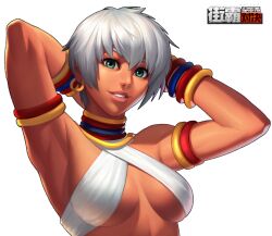elena (street fighter) from street fighter