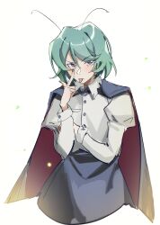wriggle nightbug from touhou