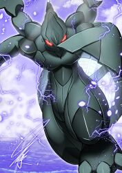 zekrom from pokemon