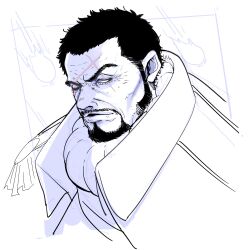 issho (fujitora) from one piece