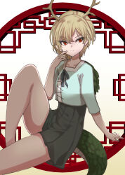 kicchou yachie from touhou by kagetourou