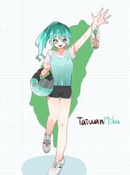 hatsune miku from vocaloid