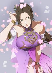 shin sangoku musou fan art