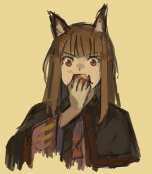 holo from spice and wolf by kornod