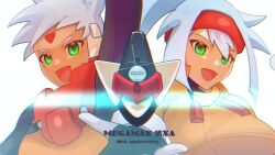 ashe (mega man) from mega man (series)
