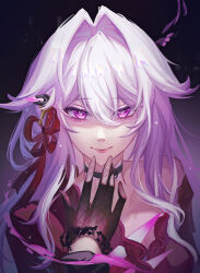 honkai (series) fan art
