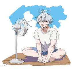 phainon (honkai: star rail) from honkai: star rail