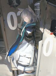 rosmontis (arknights) from arknights