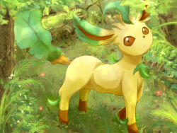leafeon from pokemon