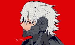 raiden from m.u.g.e.n
