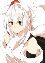 inubashiri momiji from touhou