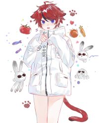 aotsuki eito from the hundred line -last defense academy-