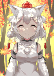 inubashiri momiji from touhou
