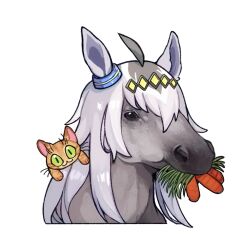 oguri cap (racehorse) from real life