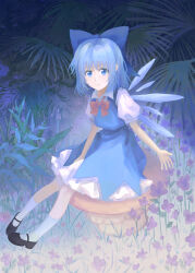 cirno from touhou