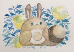 sentret from pokemon
