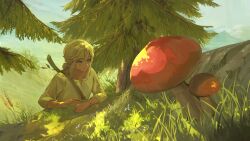 link from the legend of zelda