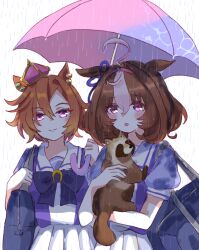 meisho doto (umamusume) from umamusume by mokuroo