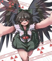 reiuji utsuho from touhou