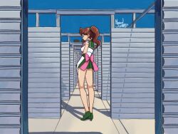 kino makoto from bishoujo senshi sailor moon
