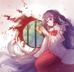 label girl (dipp) from dolls in pseudo paradise