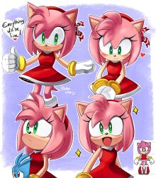 amy rose from sonic (series)
