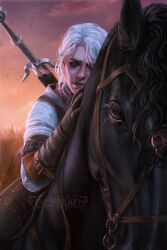 ciri from the witcher (series)