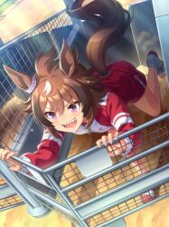 umamusume fan art