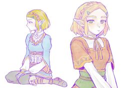 princess zelda from the legend of zelda