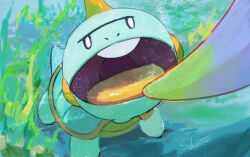 chewtle from pokemon