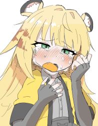 ju fufu from zenless zone zero