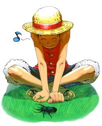 monkey d. luffy from one piece