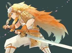link from the legend of zelda