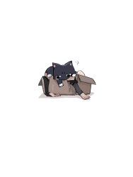 scaramouche (cat) (genshin impact) from genshin impact