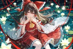 hakurei reimu from touhou