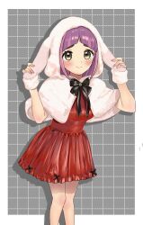 lacey (pokemon) from pokemon