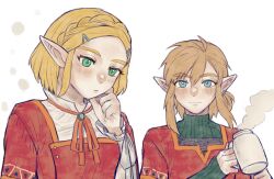link from the legend of zelda