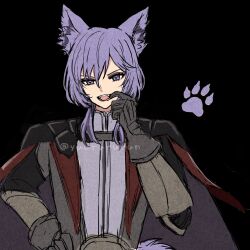 yuri leclerc from fire emblem