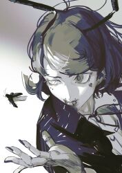 wriggle nightbug fan art