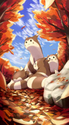 furret from pokemon